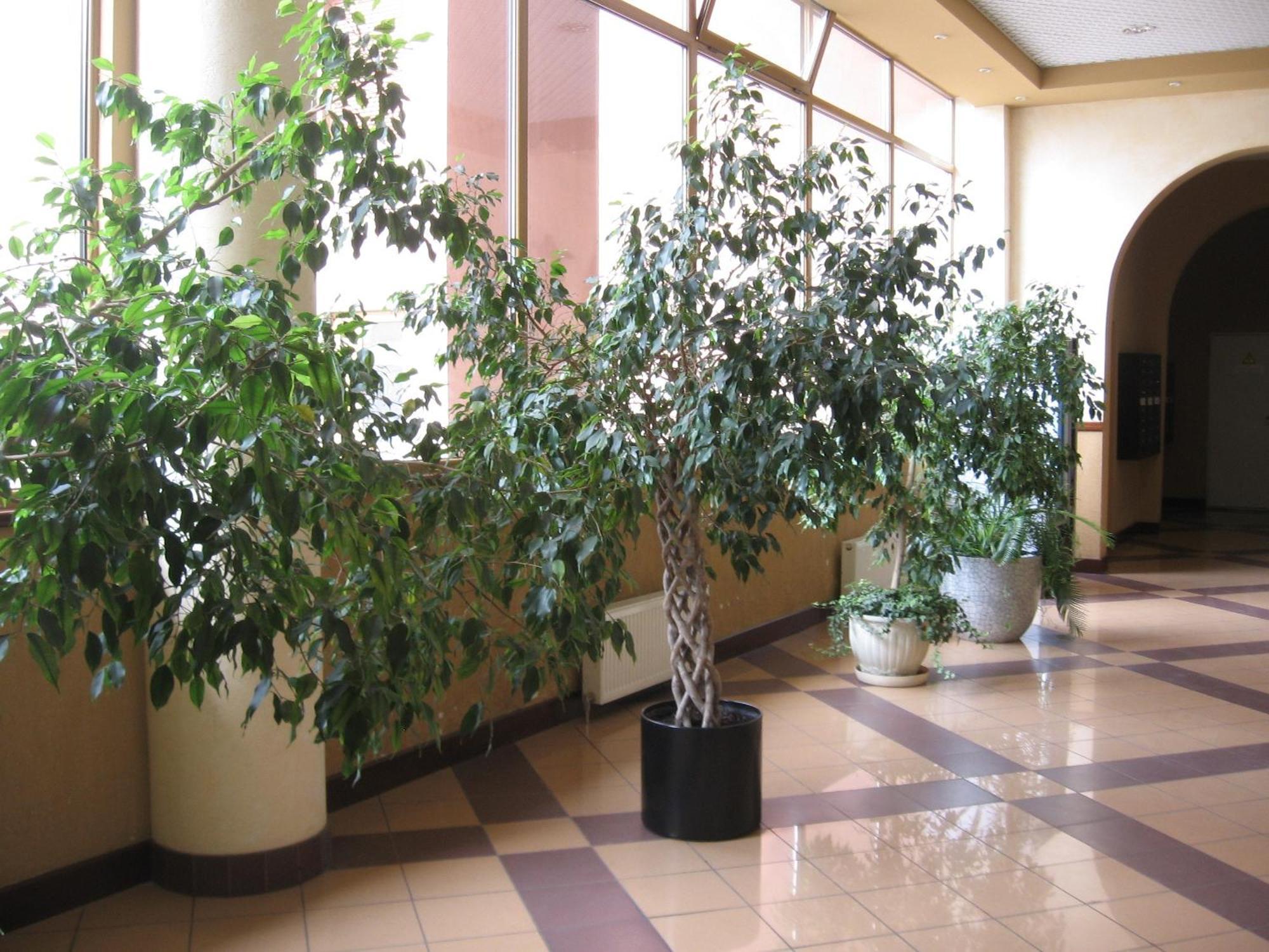 Diplomat Aparthotel Kiev Extérieur photo